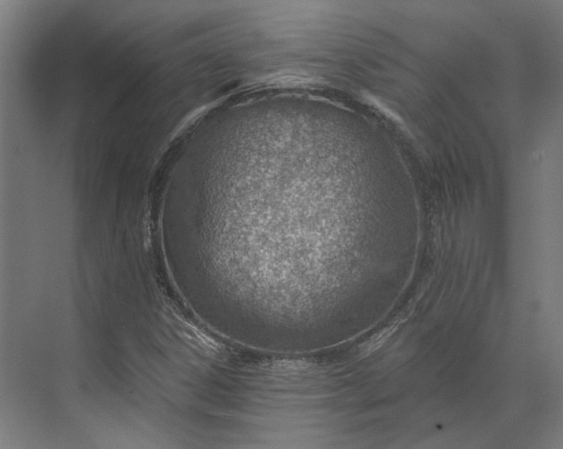 X0000073951306200609051742