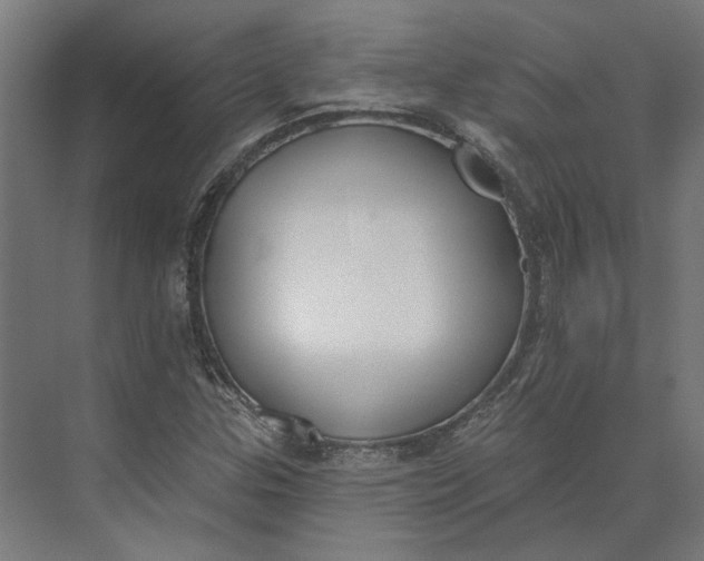 X0000073951307200609051742