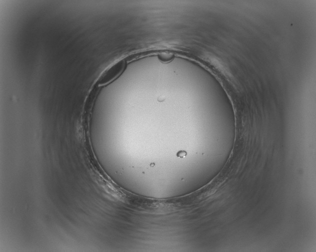 X0000073951308200609051742