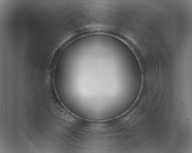 X0000073951309200609051742