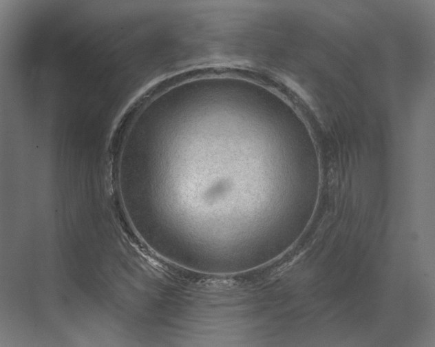 X0000073951310200609051742