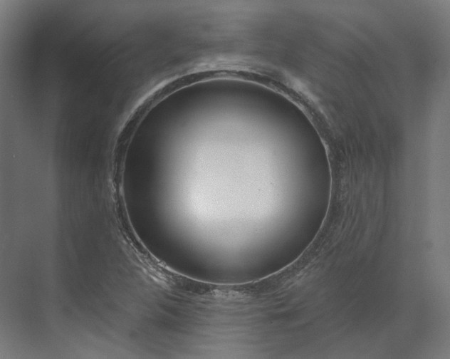 X0000073951312200609051742