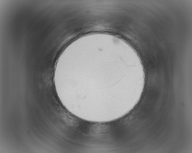 X0000073951314200609051742