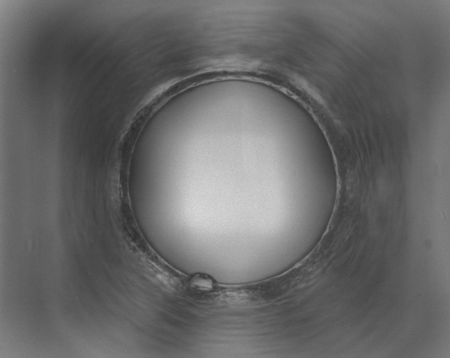 X0000073951315200609051742