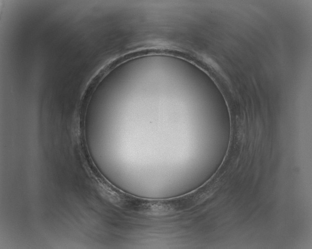 X0000073951318200609051742