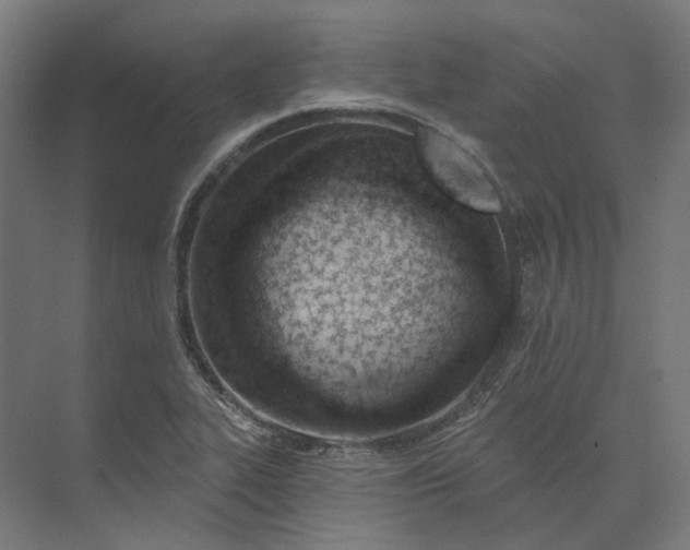 X0000073951319200609051742