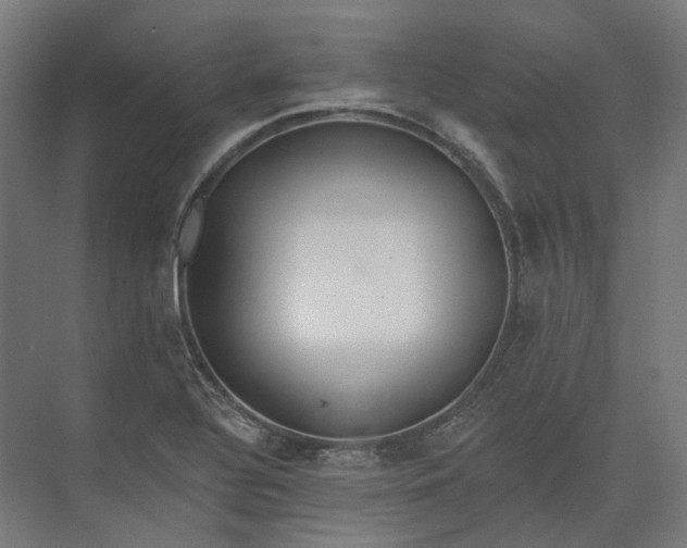 X0000073951320200609051742