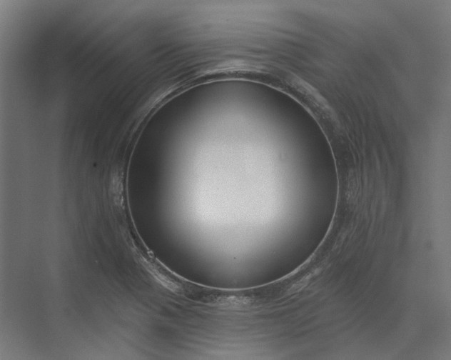 X0000073951321200609051742