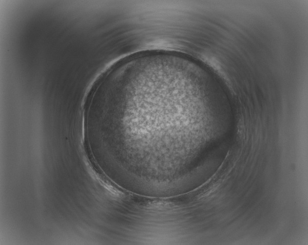 X0000073951323200609051743