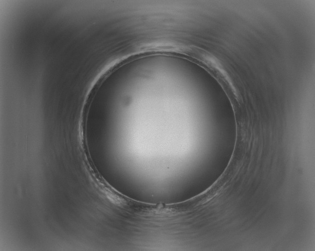 X0000073951328200609051743