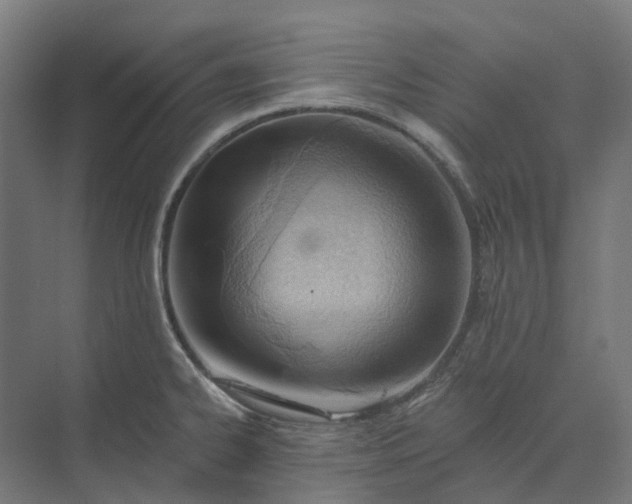 X0000073951334200609051743