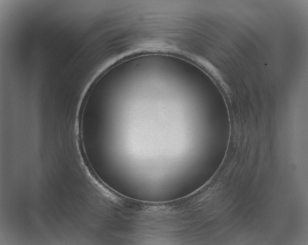 X0000073951335200609051743