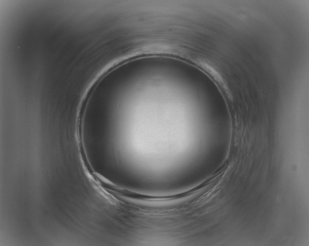 X0000073951342200609051743