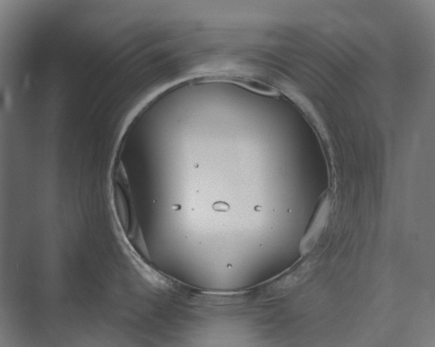 X0000073951344200609051743