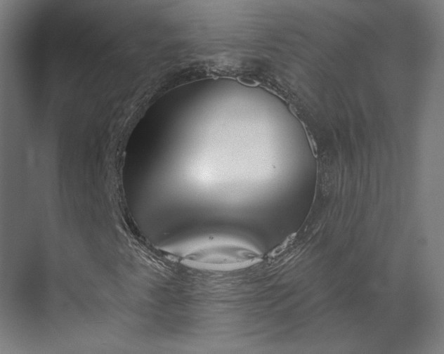 X0000073951345200609051742