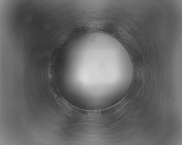 X0000073951346200609051742