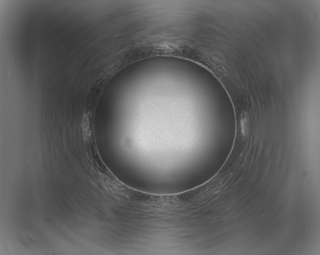 X0000073951347200609051742