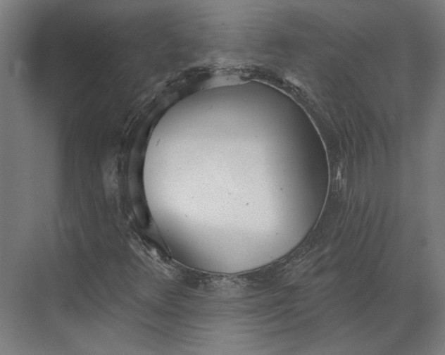 X0000073951348200609051742