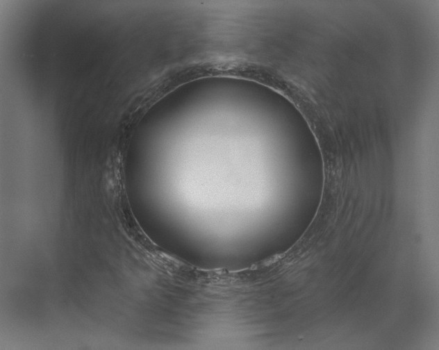 X0000073951349200609051742