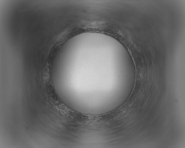 X0000073951350200609051742