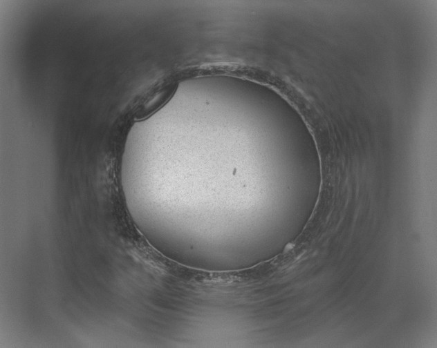 X0000073951351200609051742