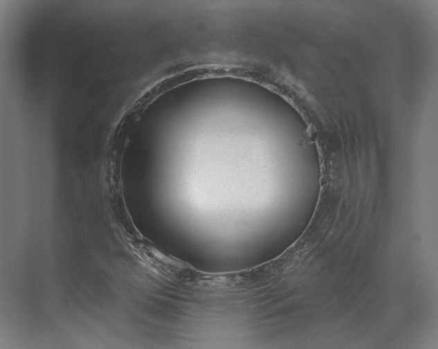 X0000073951352200609051742