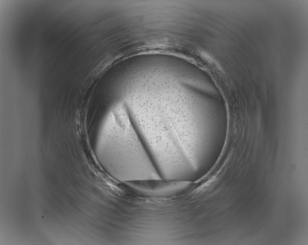 X0000073951353200609051742