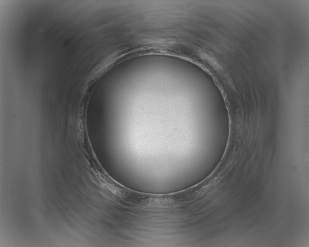 X0000073951354200609051742