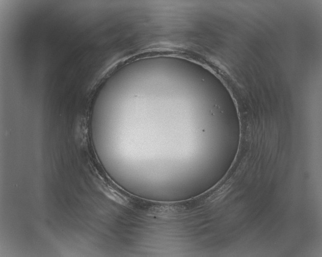 X0000073951355200609051742