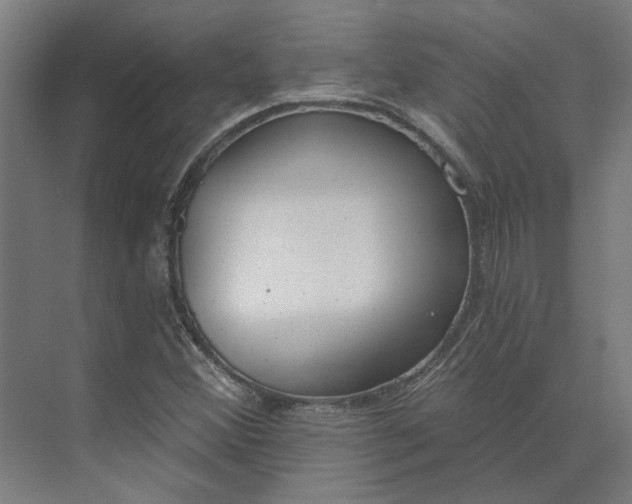 X0000073951356200609051742