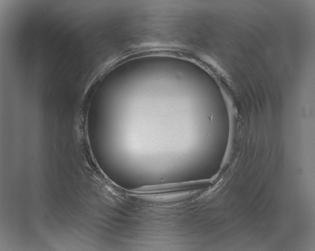 X0000073951357200609051742