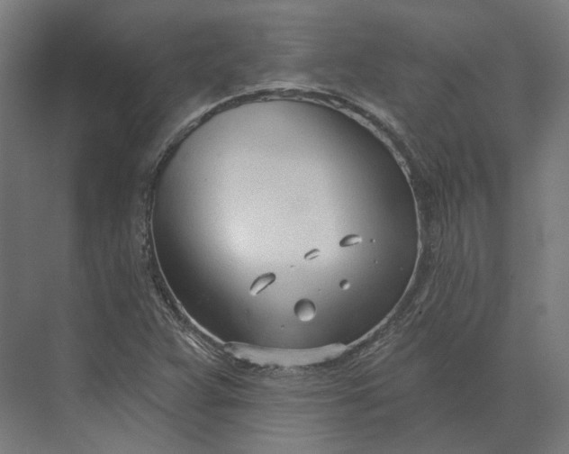 X0000073951359200609051742