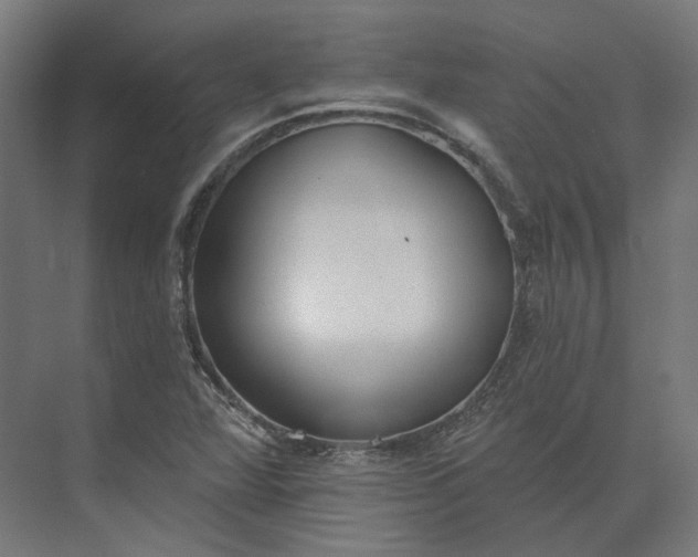 X0000073951360200609051742