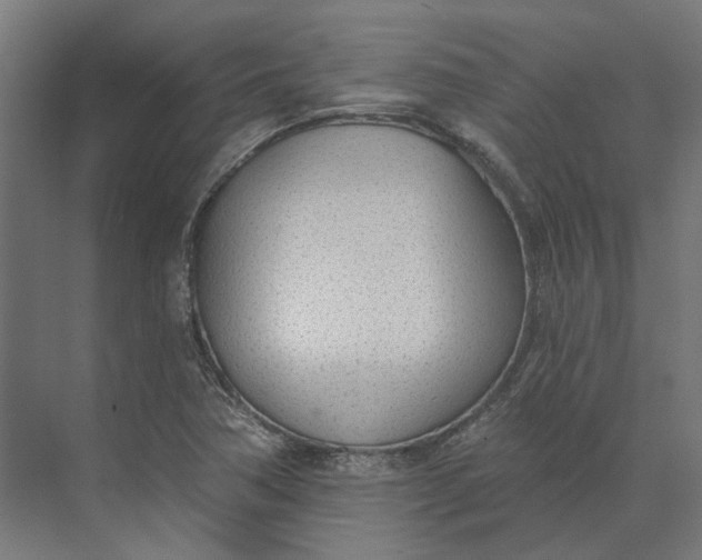 X0000073951362200609051742