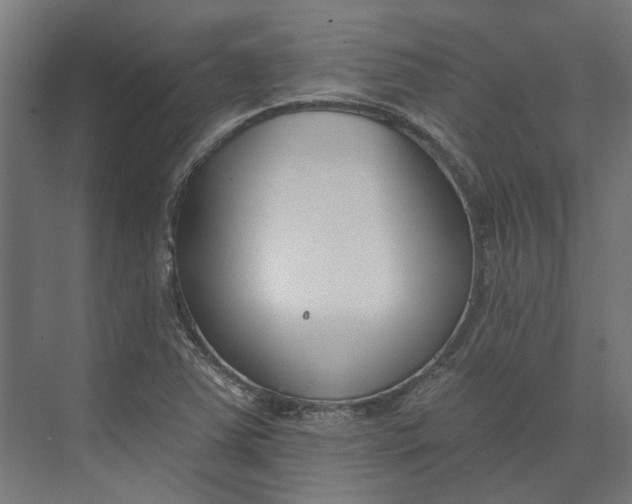 X0000073951363200609051742