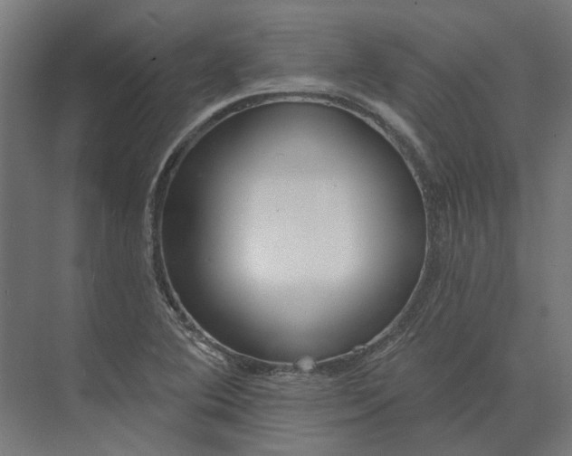 X0000073951364200609051742