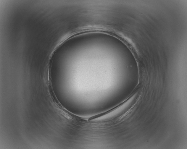 X0000073951365200609051742