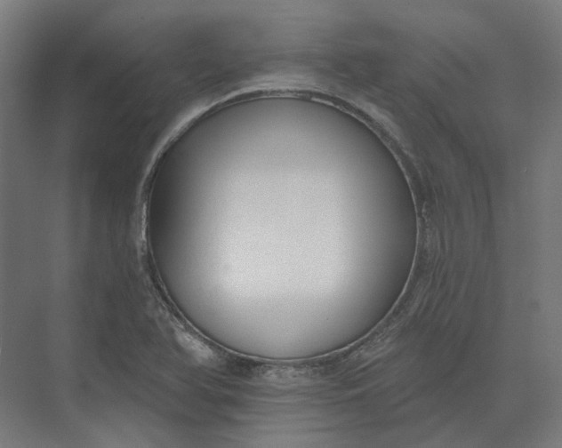 X0000073951366200609051742