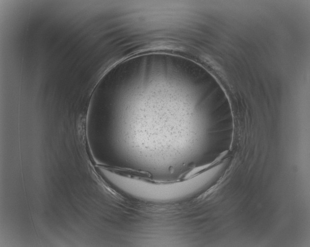 X0000073951369200609051742