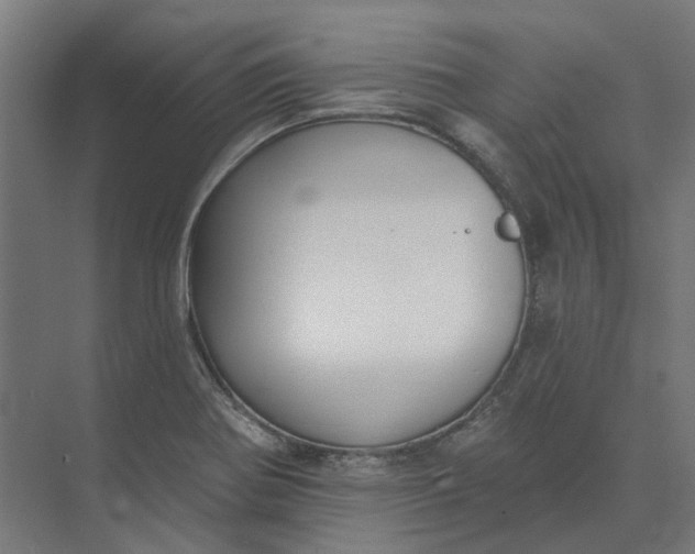 X0000073951370200609051742