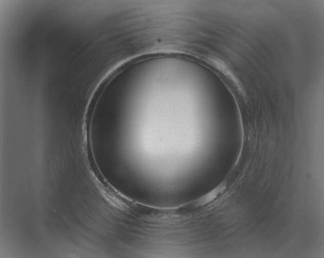 X0000073951372200609051742