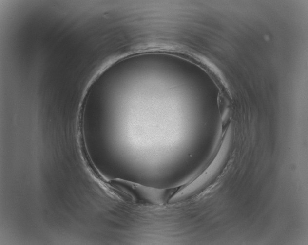 X0000073951373200609051742