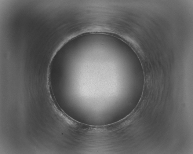 X0000073951374200609051742