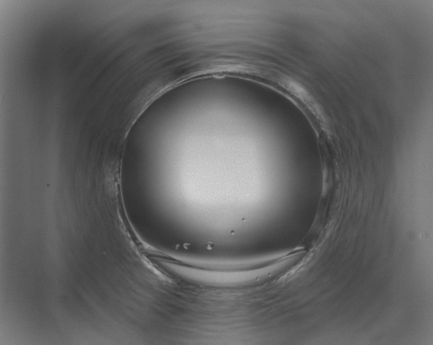 X0000073951377200609051742