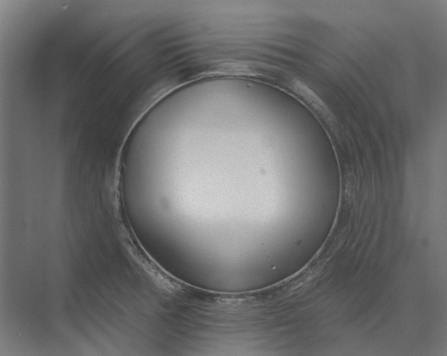 X0000073951378200609051741