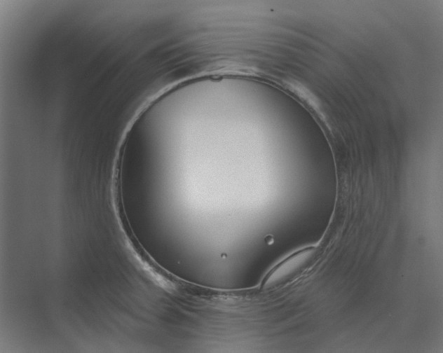 X0000073951379200609051741