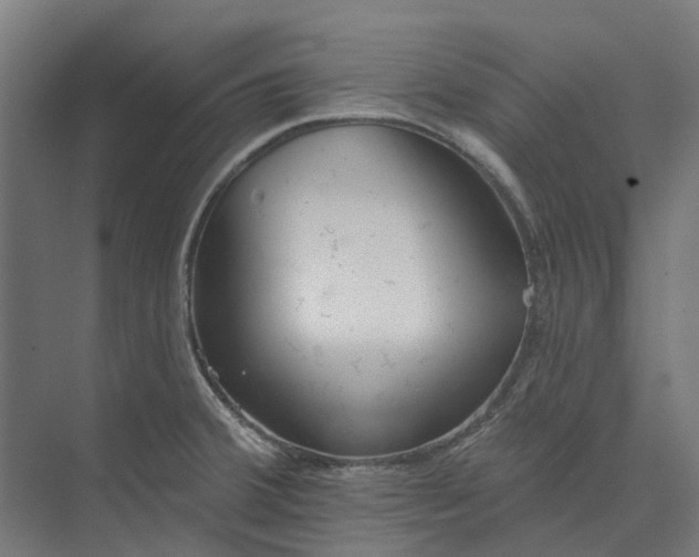 X0000073951380200609051741