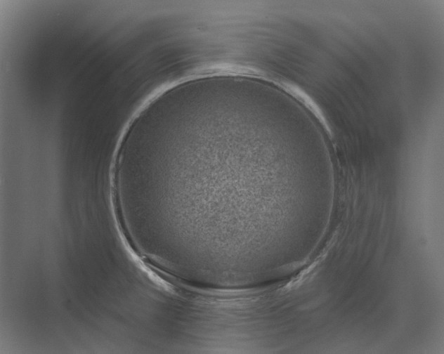 X0000073951381200609051741