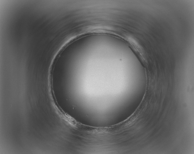 X0000073951384200609051741