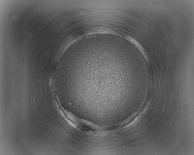 X0000073951385200609051741